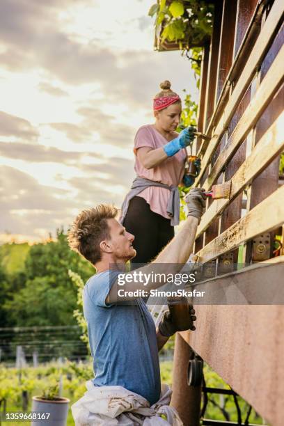 adult couple painting their balcony fence on ladders during a cloudy day - facade painting stock pictures, royalty-free photos & images