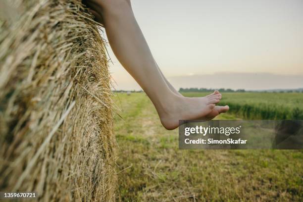 primer plano de piernas desnudas, pies de una mujer joven sentada en una pelota de heno en el campo de rastrojos - womans bare feet fotografías e imágenes de stock