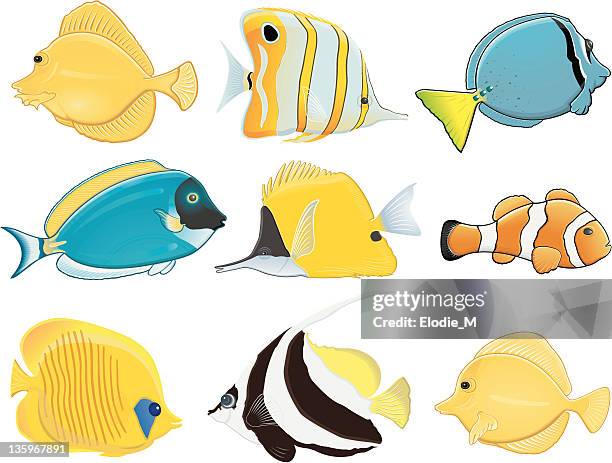 ilustraciones, imágenes clip art, dibujos animados e iconos de stock de peces tropicales/poissons tropicaux - butterflyfish