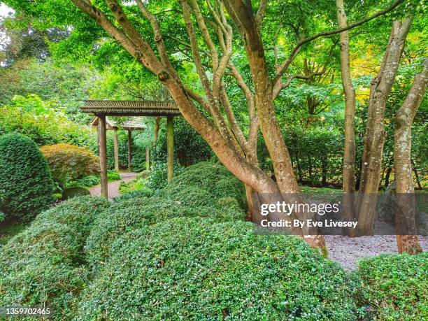 japanese style garden - cheshire photos et images de collection