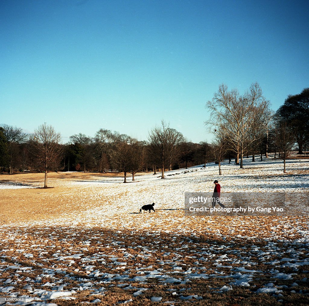 Man walking on snow with dog