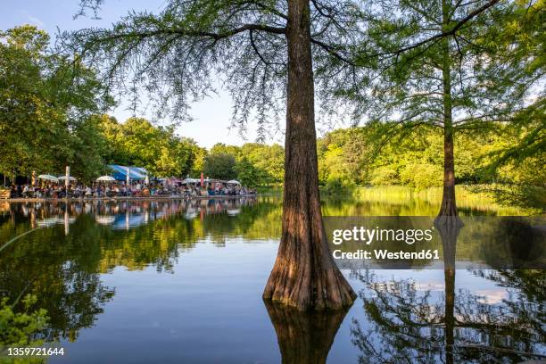 germany, bavaria, munich,mollseelake inwestpark with beer garden in background - biergarten stock-fotos und bilder