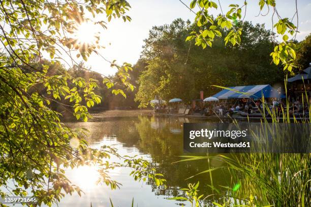 germany, bavaria, munich, sun setting overmollseelake inwestpark with beer garden in background - jardín de cerveza fotografías e imágenes de stock
