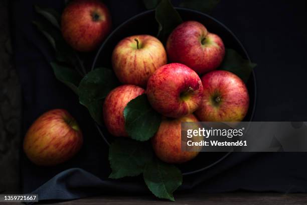 studio shot of bowl of fresh gala apples - gala apple stock pictures, royalty-free photos & images