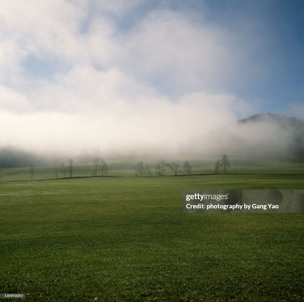 Morning at smoky mountains