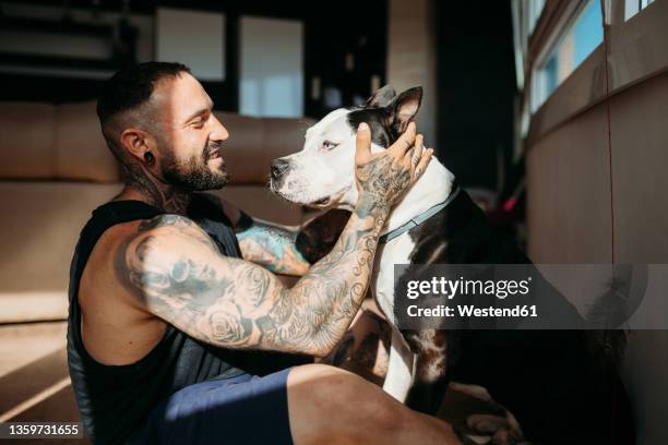 smiling man sitting with dog at home - strong pitbull stock pictures, royalty-free photos & images