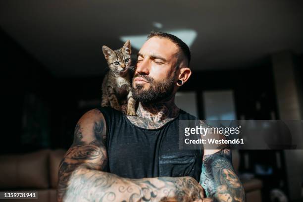 mixed breed cat sitting on muscular man's shoulder at home - muskulös stock-fotos und bilder