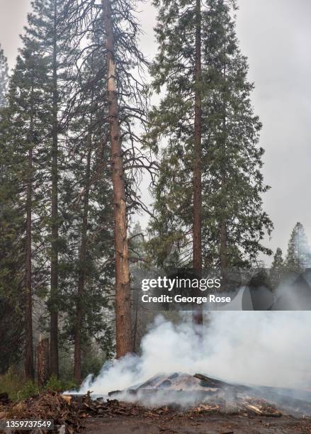 Prescribed control fire of valley vegetation continues to burn near a stack of recently logged pine trees even though it is raining on December 14 in...