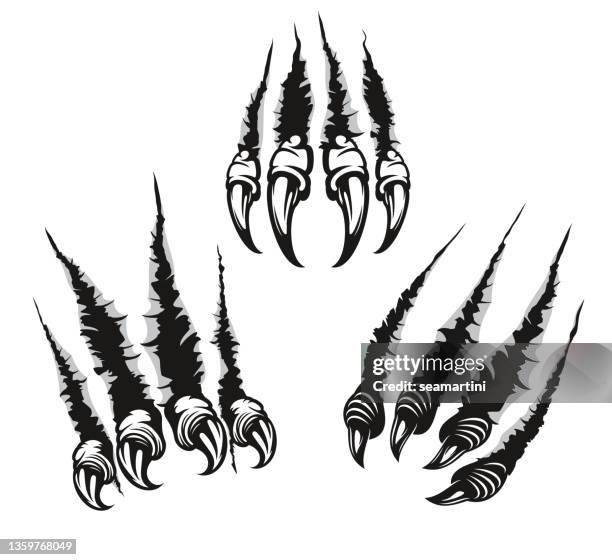 monster claw marks, scratches with long nails. - claw stock illustrations