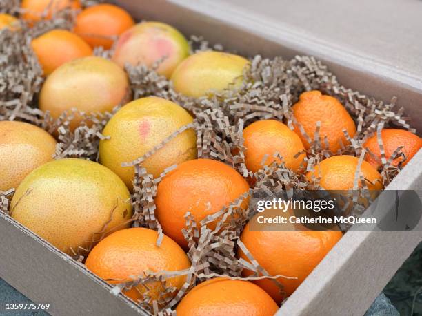 oversized gift box of variety of oranges & grapefruits - house warming stock pictures, royalty-free photos & images