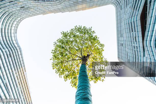 bottom view of modern green city - business tree stock-fotos und bilder