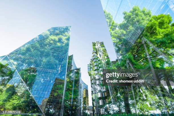 composite of modern skyscrapers and trees - tree growing timelapse stock pictures, royalty-free photos & images
