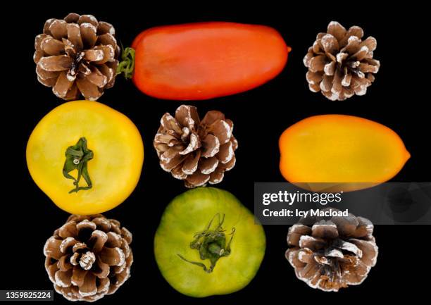 old variety of tomatoes and pine cones - イエロートマト ストックフォトと画像