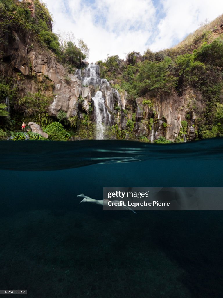 Bassin des Aigrettes (Trois bassin), Underwater, Ile de la Réunion