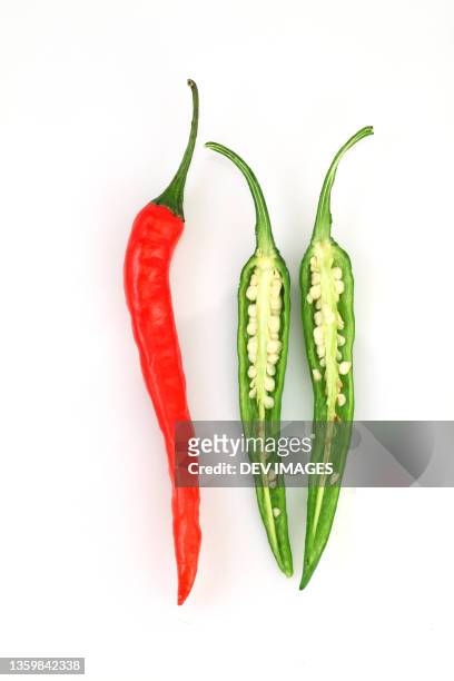 hot chilli or chilli peppers isolated - jalapeno pepper stock pictures, royalty-free photos & images