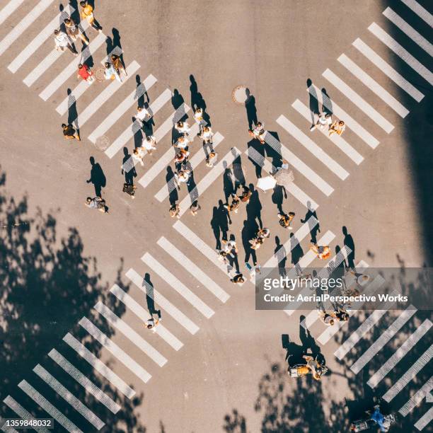 drone point view of city street crossing - zebra crossing 個照片及圖片檔