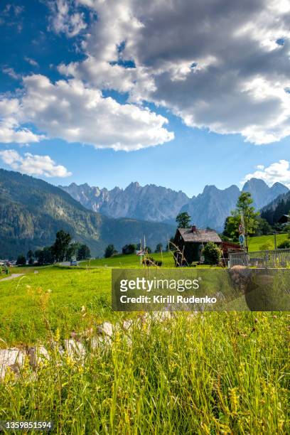 austrian alps in summer - central eastern alps stock pictures, royalty-free photos & images