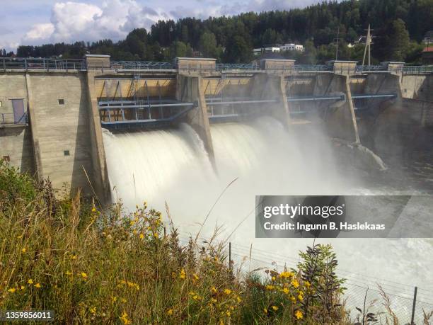 water running through the dam locks in a power station. wildflowers in front. - hydroelectric dam stockfoto's en -beelden