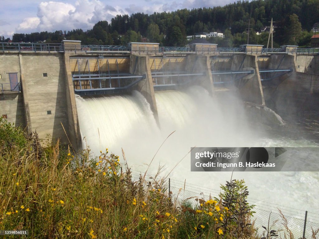 Water running through the dam locks in a power station. Wildflowers in front.