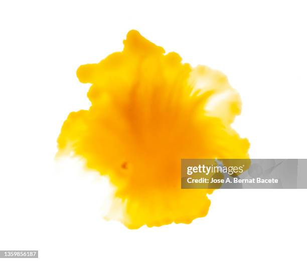 drop of yellow paint slides on a blank canvas. - yellow watercolor stock pictures, royalty-free photos & images