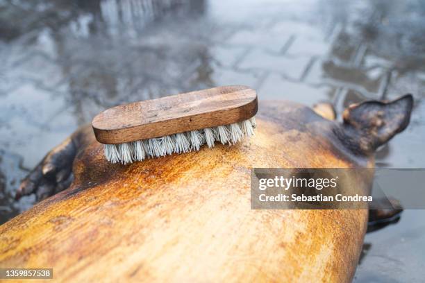 preparation to cutting, pork slaughter, christmas holidays, abstract, - pig slaughtering stock pictures, royalty-free photos & images