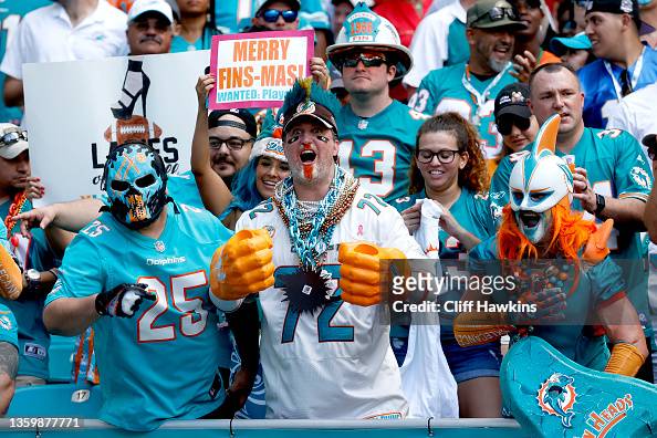 miami dolphins fans