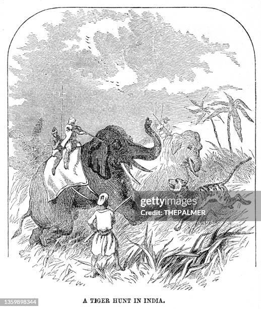 a tiger hunt in india engraving 1867 - indian elephant illustration stock illustrations