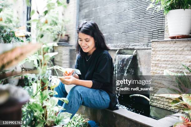 jovem mulher regando a flor - flores indonesia - fotografias e filmes do acervo