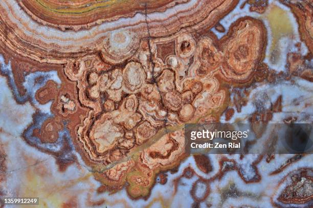 intricate patterns on a sectioned unpolished crazy lace agate in full frame - lace_agate stock pictures, royalty-free photos & images