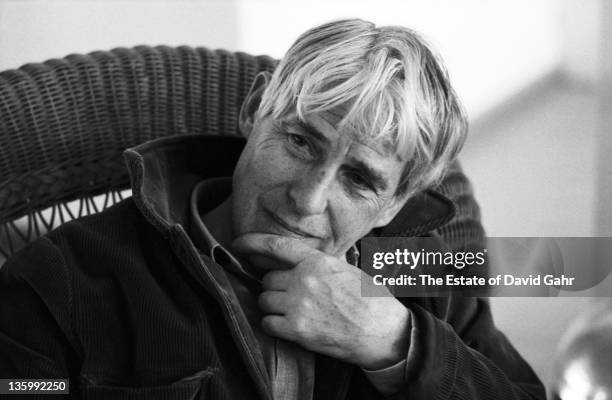 Dutch artist Willem de Kooning poses for a portrait in November, 1967 in New York City, New York.