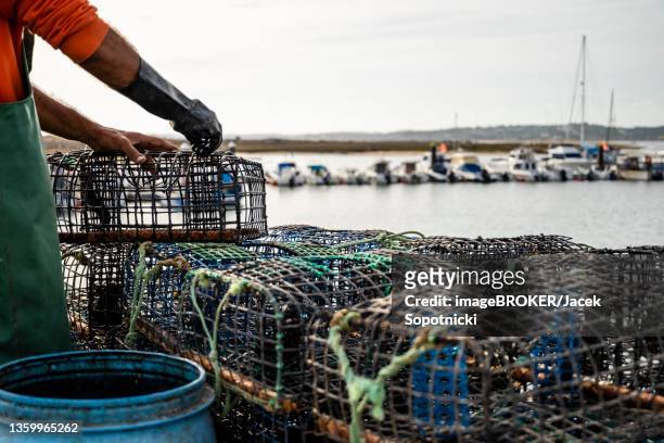 fisherman puts crab inside octopus traps in alvor, algarve, portugal - algarve crab stock pictures, royalty-free photos & images