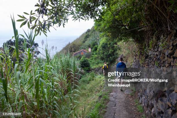 hikers on the way to rocha da relva, sao miguel island, azores, portugal - relva stock-fotos und bilder