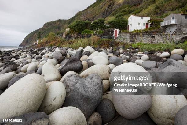 coast with large round stones in rocha da relva, sao miguel island, azores, portugal - relva stock-fotos und bilder