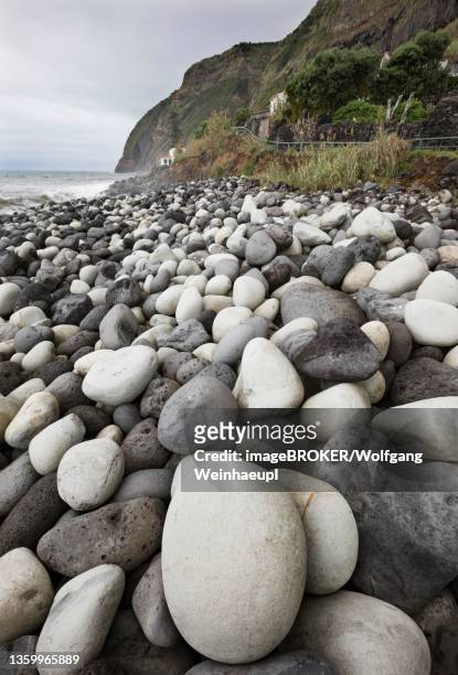 coast with large round stones in rocha da relva, sao miguel island, azores, portugal - relva stock-fotos und bilder