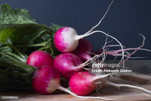 a bunch of bright fresh radishes with leaves on a cutting board, against the background of a kitchen or dining table. growing organic vegetables and fruits at home. harvesting, cooking. vegetarian, vegan and raw food food and diet. - radish stock pictures, royalty-free photos & images