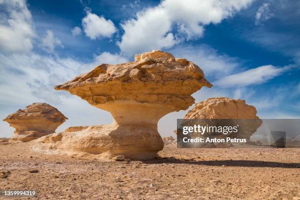 mushroom rocks in the white desert at sunset. egypt, western sahara desert - white desert stock pictures, royalty-free photos & images