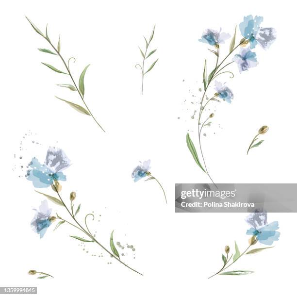 set von aquarellen florale elemente. - ornament stock-grafiken, -clipart, -cartoons und -symbole