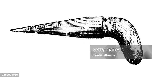 The Dibble 1,436 Dibble Stock Photos, High-Res Pictures, and Images - Getty Images