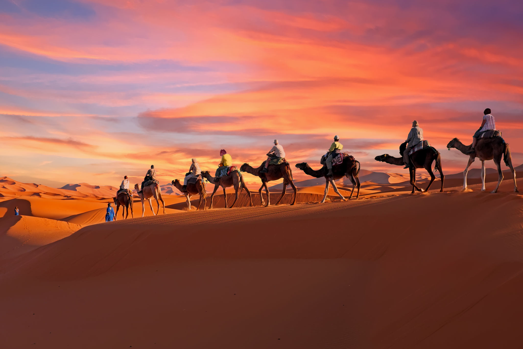 desert safari