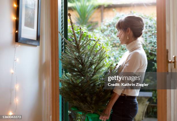 woman bringing small potted christmas tree into the house - christmas in rome stock pictures, royalty-free photos & images