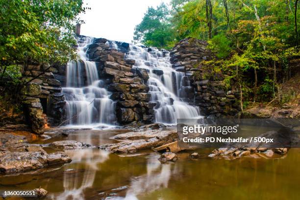 heaven in auburn alabama,scenic view of waterfall in forest,auburn,alabama,united states,usa - alabama stock-fotos und bilder