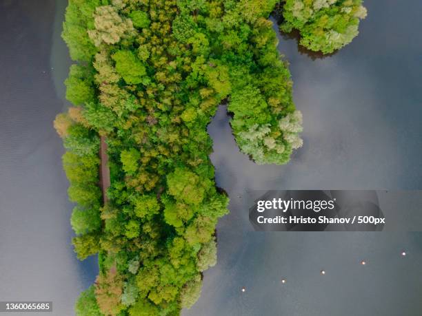 aerial view of island and lake,hagen,germany - hangen fotografías e imágenes de stock