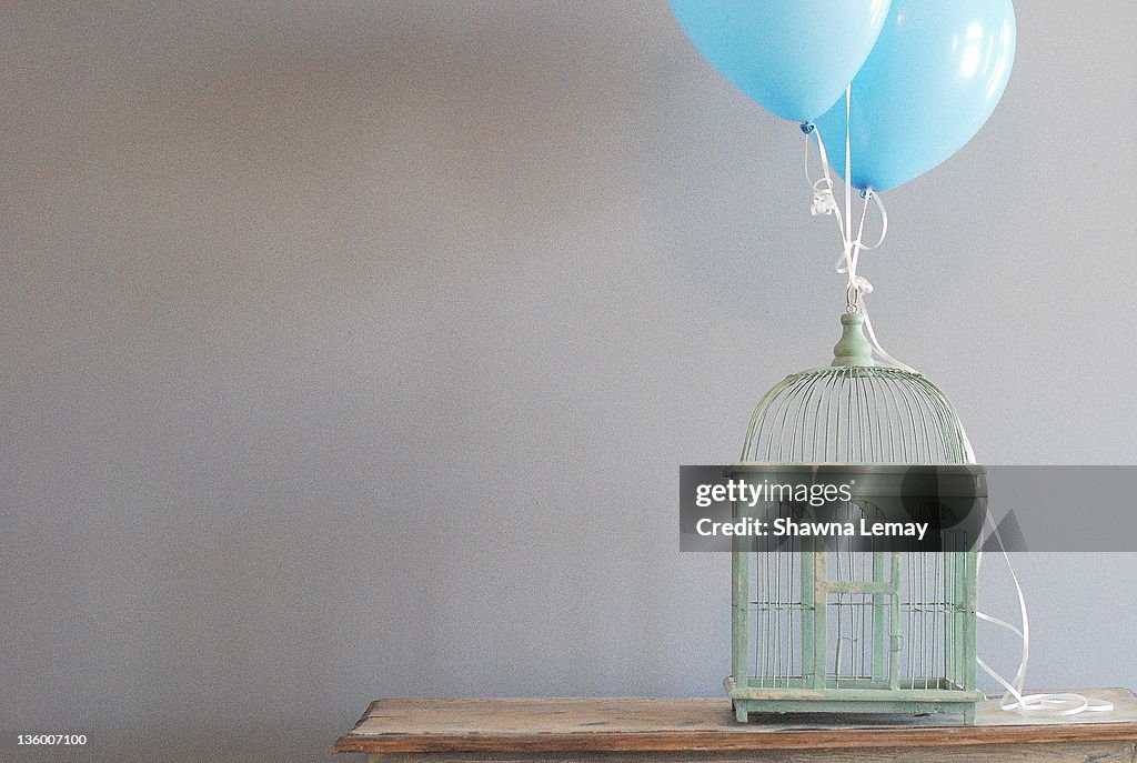 Bird cage and balloons