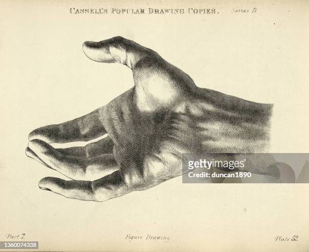 ilustrações de stock, clip art, desenhos animados e ícones de vintage illustration of sketching human hand, open palm, wrist, victorian art figure drawing copies 19th century - archival