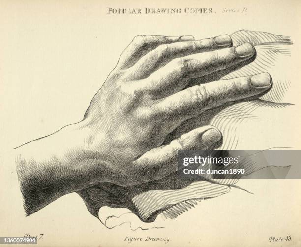 sketching human hand and fingers, victorian art figure drawing copies 19th century - knuckle stock illustrations