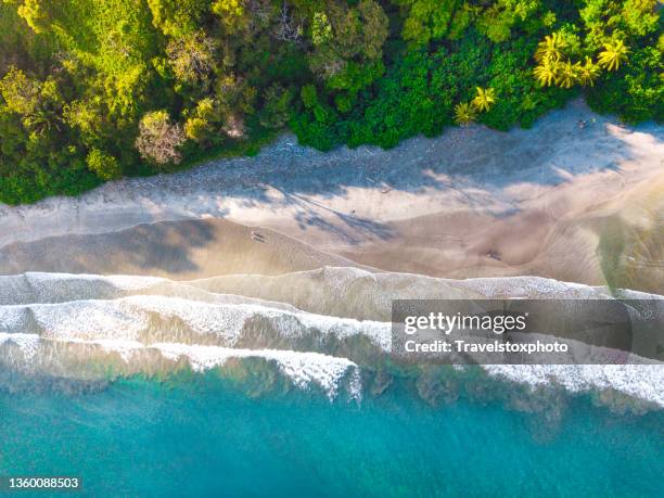 costa rican beach bay with clear blue water surrounded by tropical plants and palm trees photographed from the air. - costa rica stockfoto's en -beelden