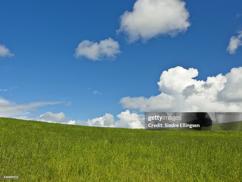 Cloudscape over field