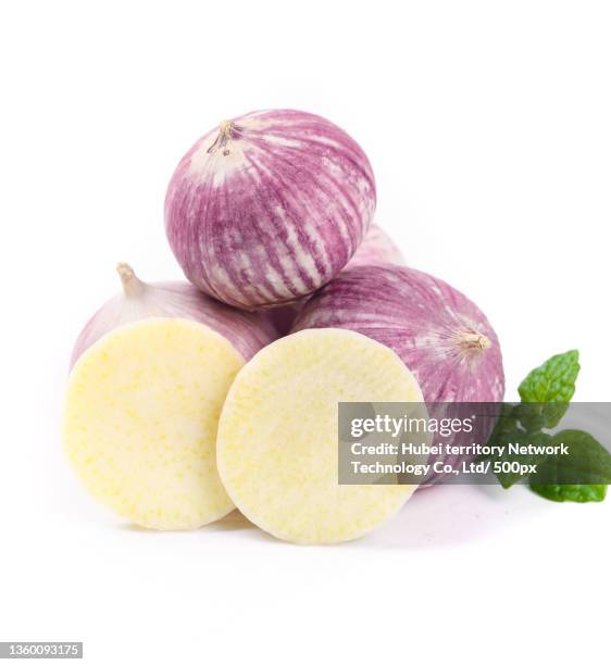 purple garlic was placed on the white background - garlic clove stock pictures, royalty-free photos & images