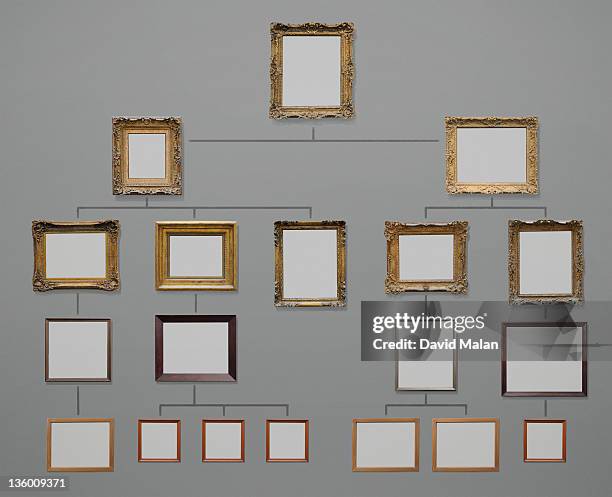 organisation chart using picture frames - regency frame stock pictures, royalty-free photos & images