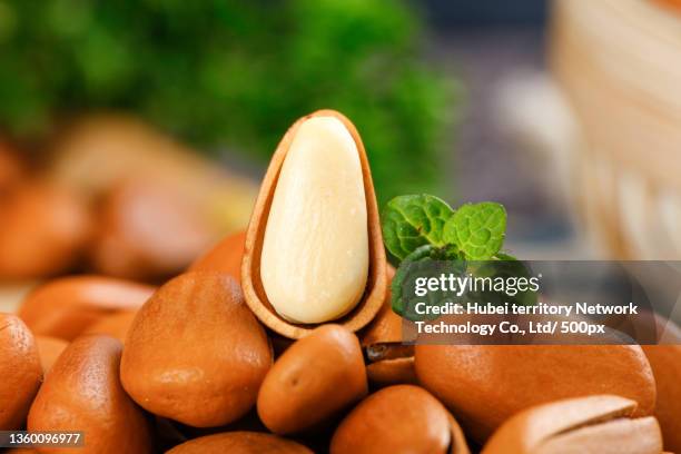 pine nuts are placed on the deep bottom - argan oil fotografías e imágenes de stock